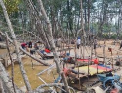 Sat Polairud Bangka Barat Lakukan Penertiban Aktivitas Penambangan Tanpa Izin Di Kawasan Hutan Bakau Desa Belo