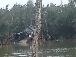 Kolong Koboy Kecamatan Bukit Intan, Kota Pangkalpinang Digarap TI ilegal jenis Rajuk Tower