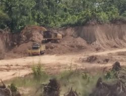 Tambang Galian C Milik Joko di Desa Menilo, Kecamatan Soko, Kabupaten Tuban Resahkan Warga!