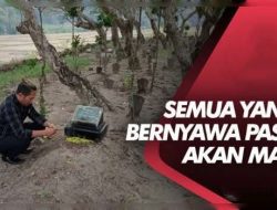 Setiap yang bernyawa pasti akan mati