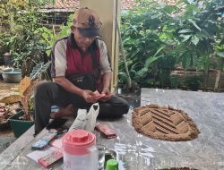 Harga Melonjak dan Cuaca Cerah, Petani Di Sinarjawa Tanggamus Tersenyum