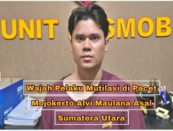 Wajah Pelaku Mutilasi di Pacet Mojokerto Alvi Maulana Asal Sumatera Utara