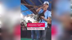 Sabung Ayam di Jember Kebal Hukum, Ada Apa?