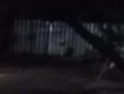 Berpindah Lokasi ,Gudang BBM Ilegal Di Mutun Beroprasi Kembali Diduga Dijaga Banyak Oknum Amankan Aktivitas 